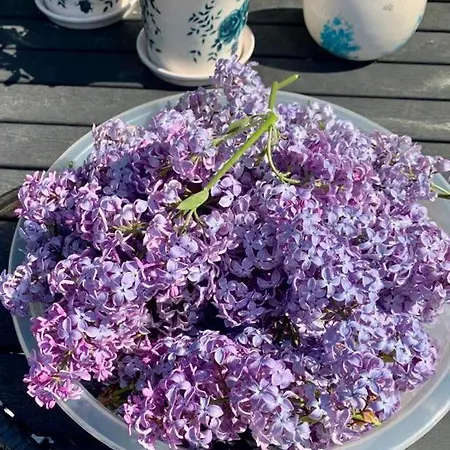 Koselig Enmannsom I Tommerhus, Inkl Morgenkaffe منزل للإقامة Eidsvoll