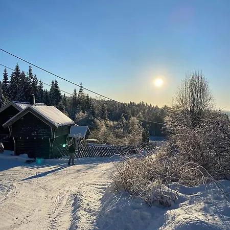 Accommodatie bij particulieren Koselig Enmannsom I Tommerhus, Inkl Morgenkaffe